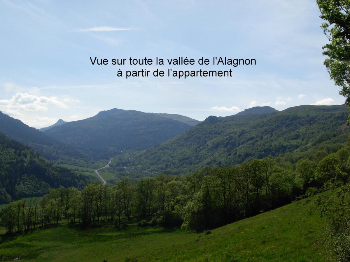Vacances Au Pied Des Monts Du Cantal Laveissiere Exterior photo